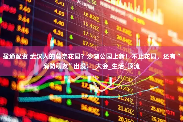 盈通配资 武汉人的莫奈花园？沙湖公园上新！不止花园，还有“消防萌友”出没！_大会_生活_顶流