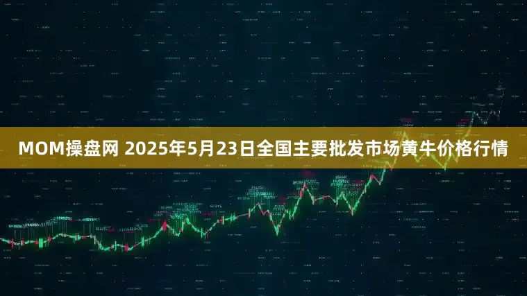 MOM操盘网 2025年5月23日全国主要批发市场黄牛价格行情