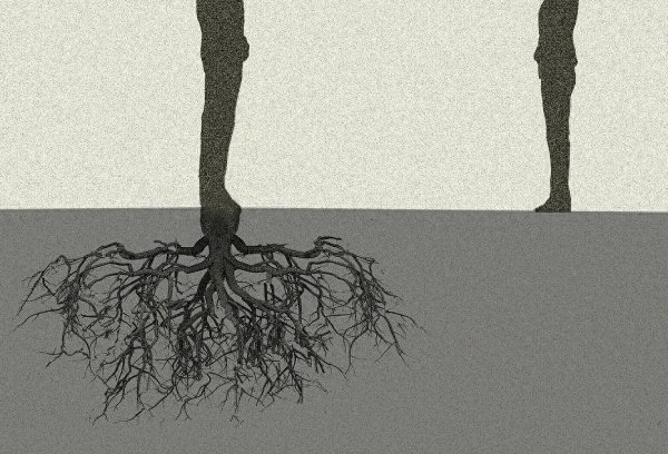 富农优配资源 电商“草根力量”