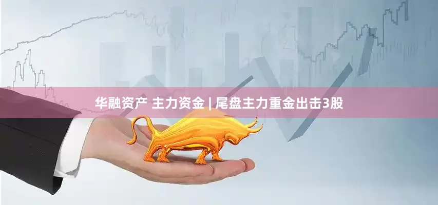 华融资产 主力资金 | 尾盘主力重金出击3股